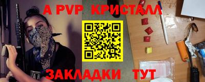 стафф Будённовск