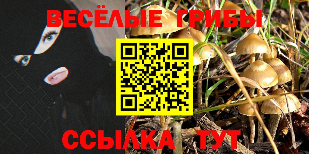 Псилоцибиновые грибы мухоморы  Вход с VPN  Ногинск 