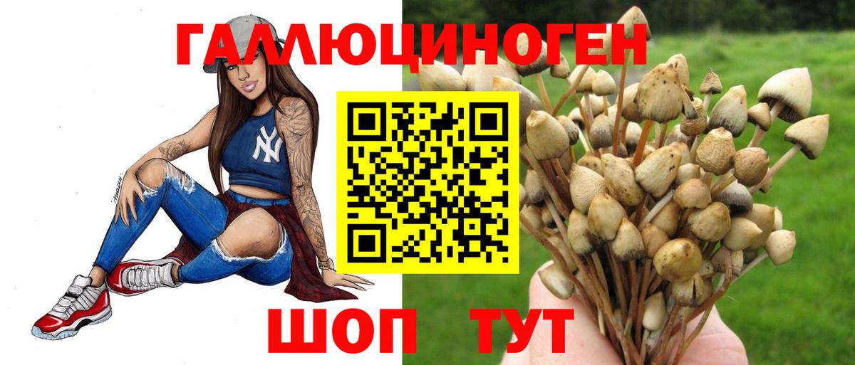 Галлюциногенные грибы GOLDEN TEACHER Ногинск