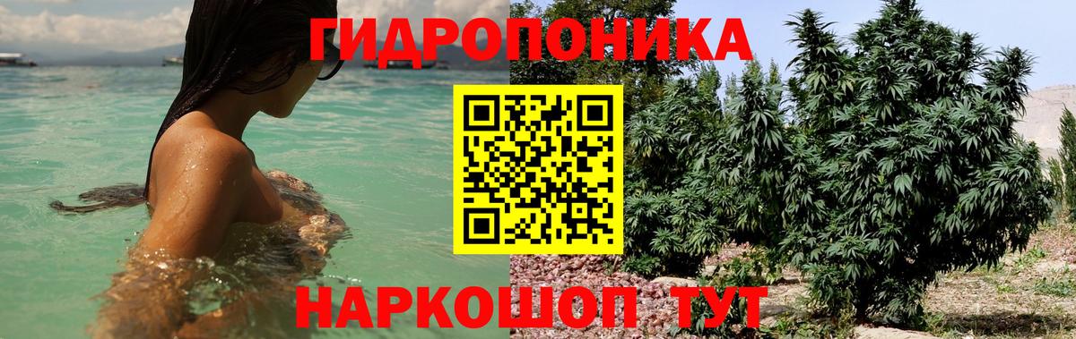 Бошки Шишки план  Канабис THC 21%  Канабис сатива  Вход с VPN  Бошки марихуана SATIVA & INDICA  Ногинск 